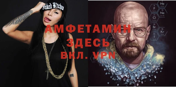 сатива Богданович