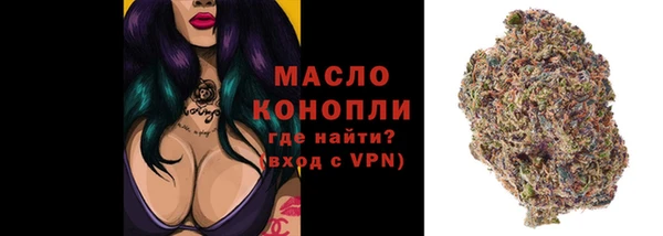 молекула духа Богородск