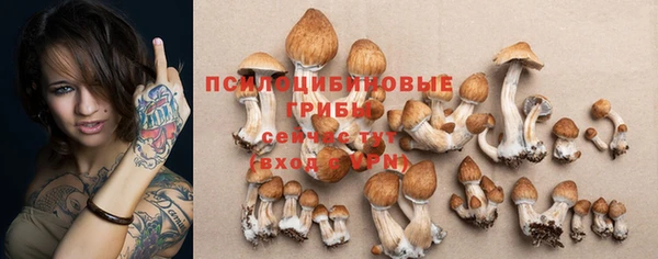 мяу мяу кристалл Богородицк