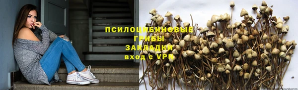 молекула духа Богородск