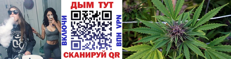 Купить где  Коряжма  Марихуана план 
